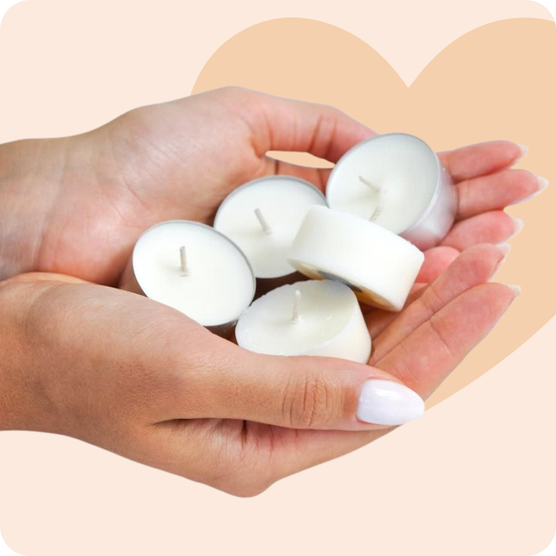 popis-sojove-cajove-svicky